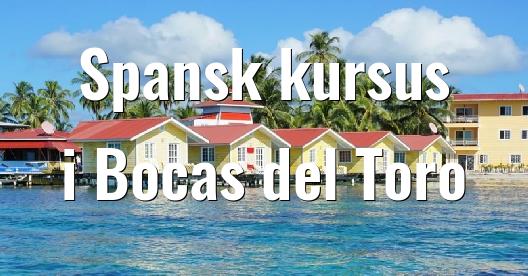 Facebook Share Box bybillede