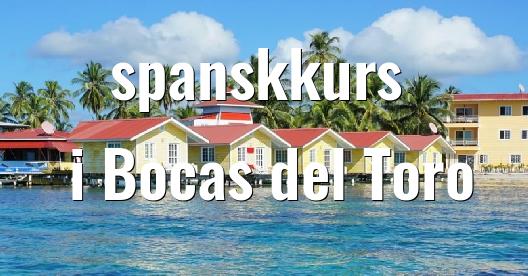 Facebook delingsboks bybilde