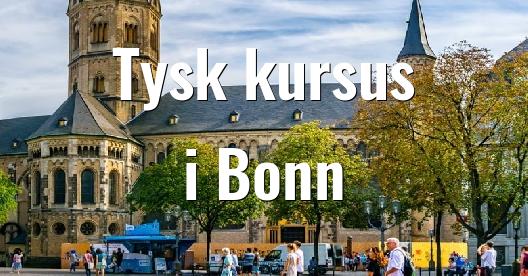 Facebook Share Box bybillede