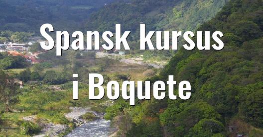 Facebook Share Box bybillede