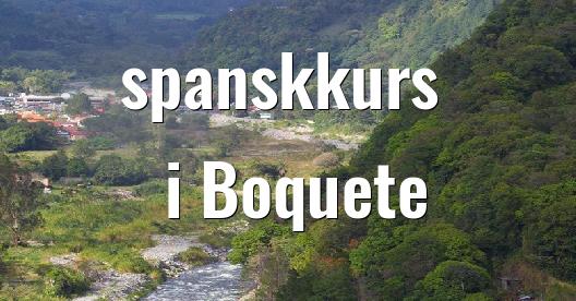 Facebook delingsboks bybilde