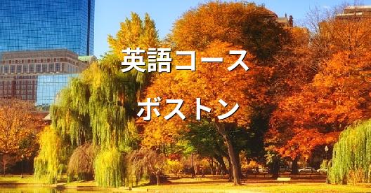 Facebook共有ボックスの都市イメージ