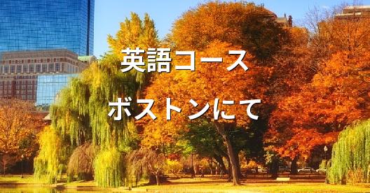 Facebook共有ボックスの都市イメージ