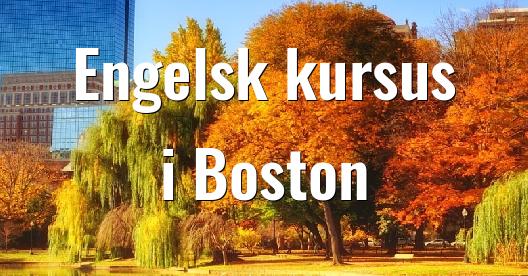 Facebook Share Box bybillede