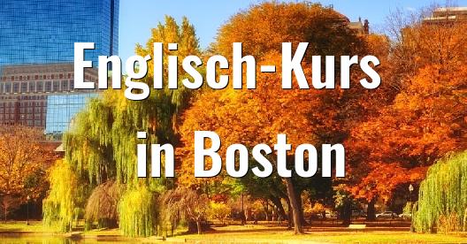 Facebook-Sharing-Box-Stadtbild