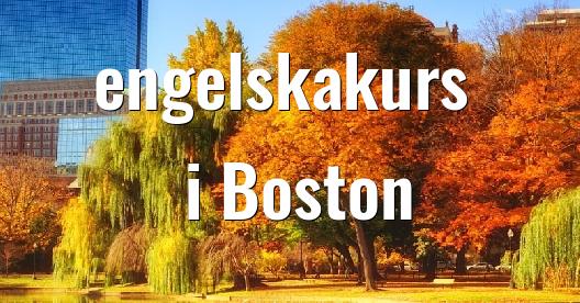 Facebook delningsbox stadssida