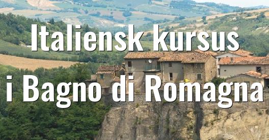 Facebook Share Box bybillede