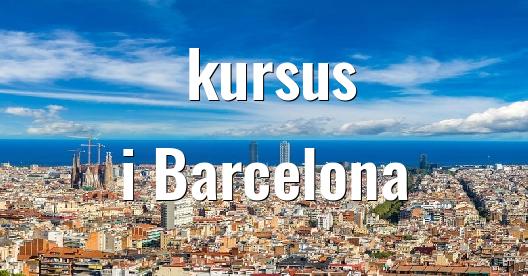 Facebook Share Box bybillede