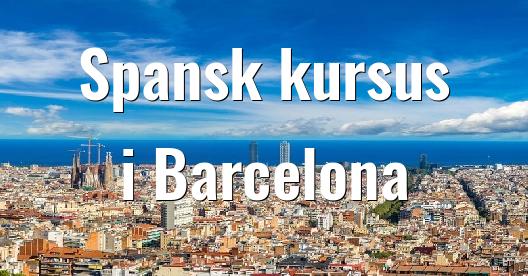 Facebook Share Box bybillede