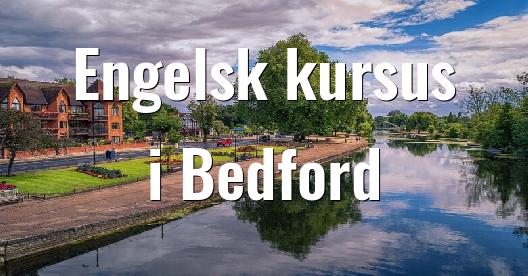 Facebook Share Box bybillede