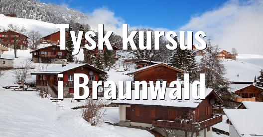 Facebook Share Box bybillede