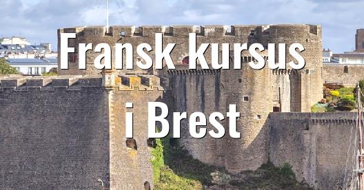 Facebook Share Box bybillede