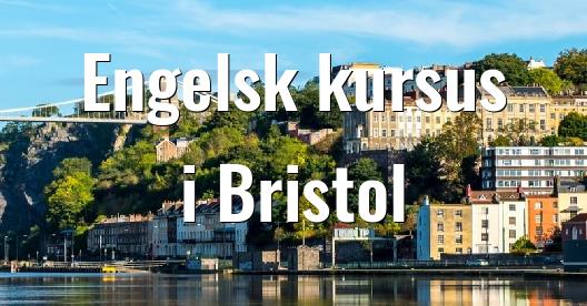 Facebook Share Box bybillede