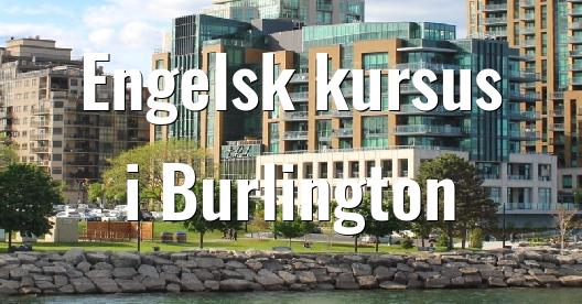 Facebook Share Box bybillede