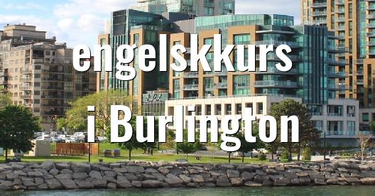 Facebook delingsboks bybilde