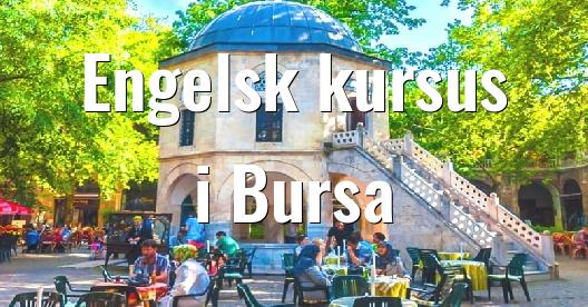 Facebook Share Box bybillede