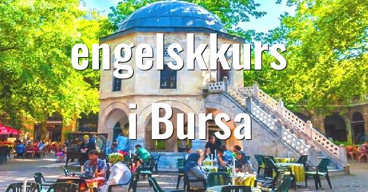 Facebook delingsboks bybilde