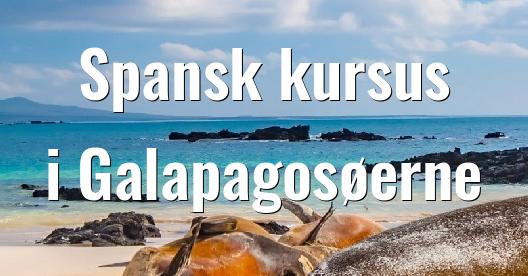 Facebook Share Box bybillede