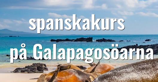 Facebook delningsbox stadssida