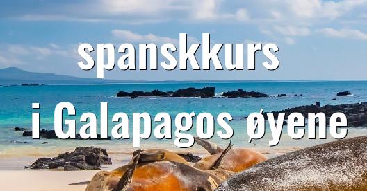 Facebook delingsboks bybilde