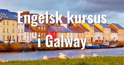 Facebook Share Box bybillede