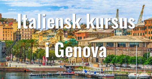 Facebook Share Box bybillede