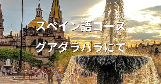 Facebook共有ボックスの都市イメージ