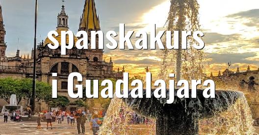 Facebook delningsbox stadssida