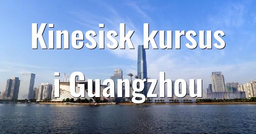 Facebook Share Box bybillede