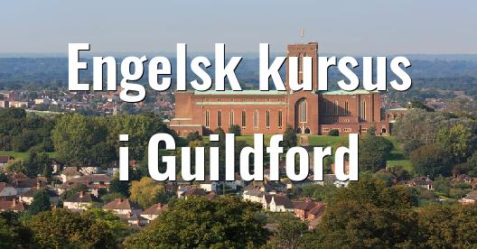 Facebook Share Box bybillede