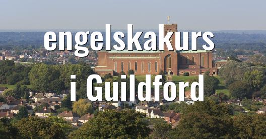 Facebook delningsbox stadssida