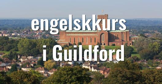 Facebook delingsboks bybilde