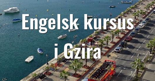 Facebook Share Box bybillede