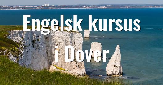 Facebook Share Box bybillede