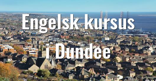 Facebook Share Box bybillede