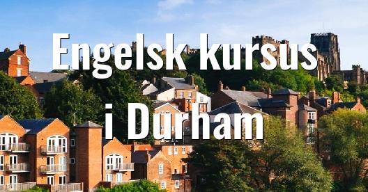 Facebook Share Box bybillede