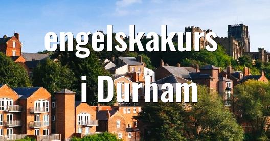 Facebook delningsbox stadssida