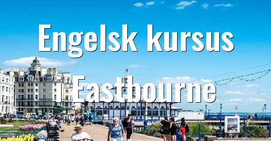 Facebook Share Box bybillede