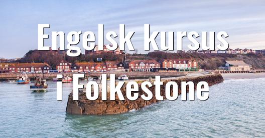 Facebook Share Box bybillede