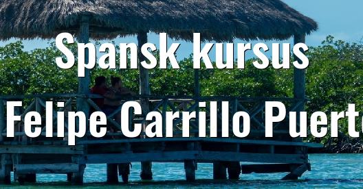 Facebook Share Box bybillede