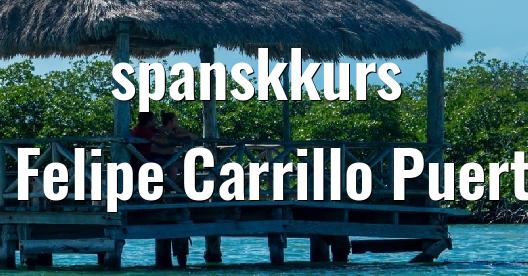 Facebook delingsboks bybilde