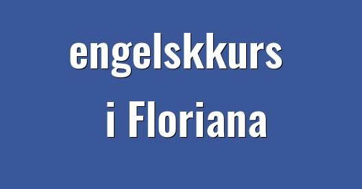 Facebook delingsboks bybilde