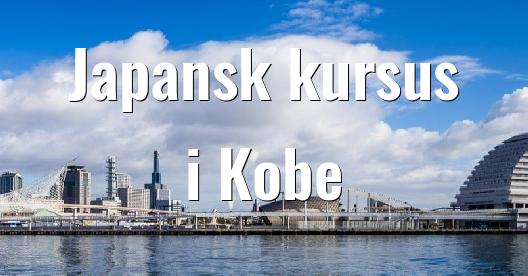 Facebook Share Box bybillede