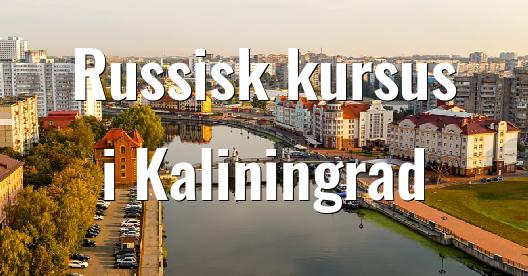 Facebook Share Box bybillede