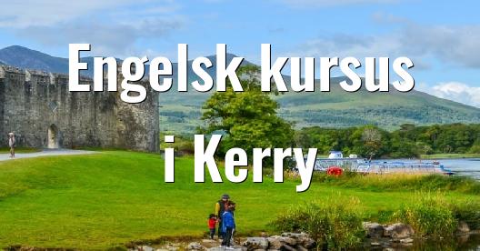 Facebook Share Box bybillede