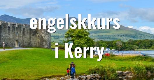 Facebook delingsboks bybilde