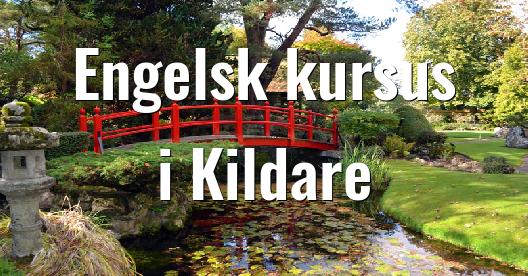 Facebook Share Box bybillede