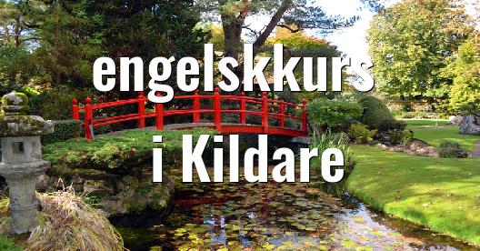 Facebook delingsboks bybilde