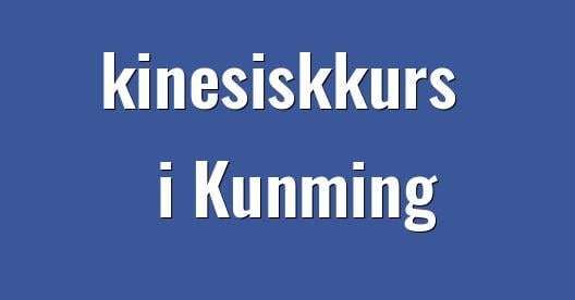 Facebook delingsboks bybilde