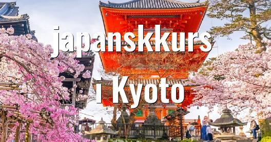 Facebook delingsboks bybilde